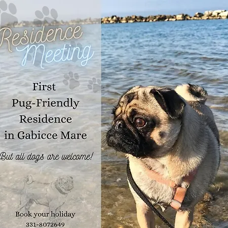 Meeting 3* Gabicce Mare